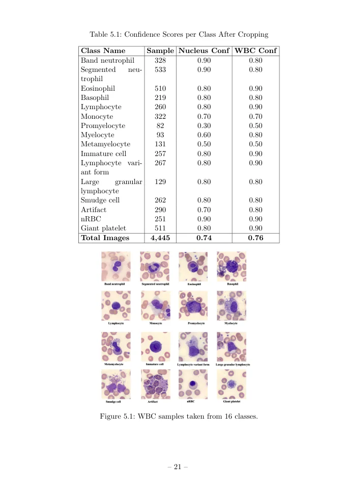 MSc thesis page 33